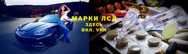 трава Гусь-Хрустальный