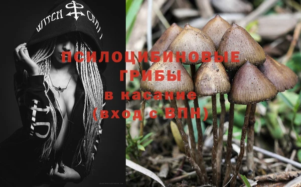 трава Гусь-Хрустальный