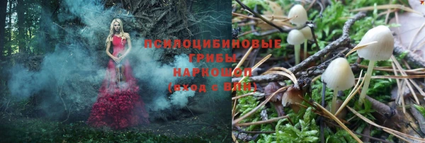 jwh Гусиноозёрск