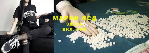 трава Гусь-Хрустальный