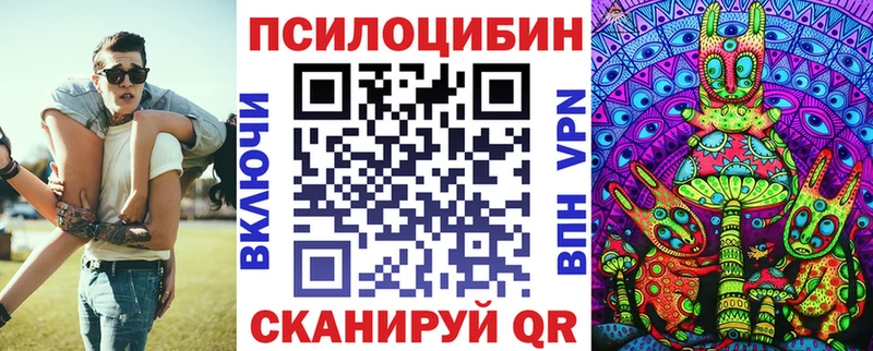 Купить  Братск  Псилоцибиновые грибы Psilocybine cubensis 